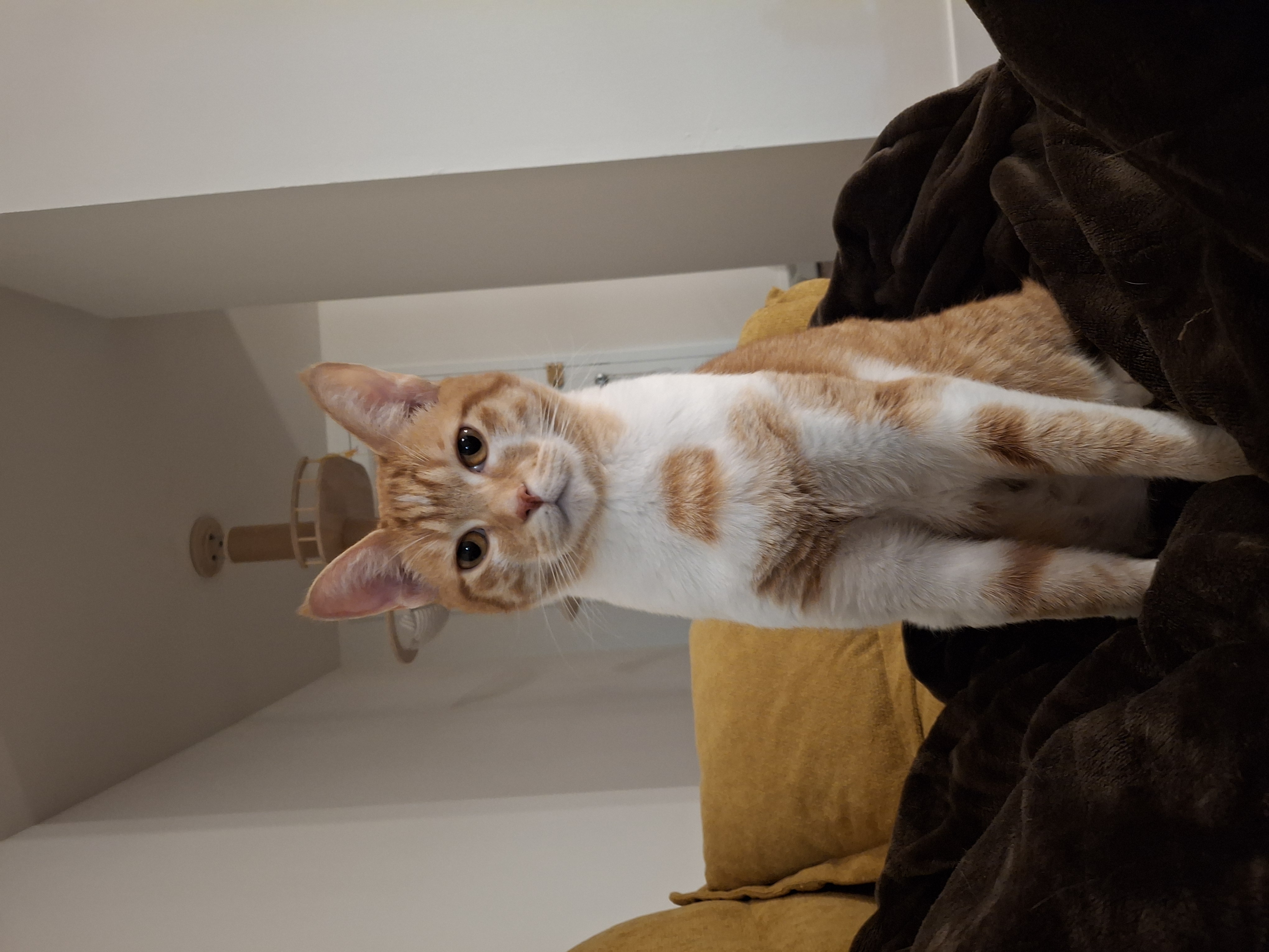 Site hosted by Neocities